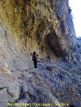 Pinturas rupestres del Abrigo de los Ca�ones IV. 