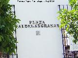 Plaza Valdelasgranas. 