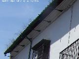 Casa de la Calle Lineros n 29. Canaln