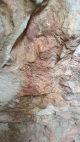 Pinturas rupestres de la Cueva de Río Frío. 