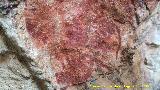 Pinturas rupestres de la Cueva de Río Frío. Detalle de los bóvidos