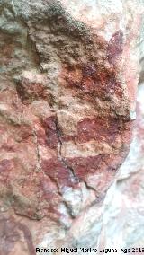 Pinturas rupestres de la Cueva de Río Frío. Detalle