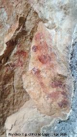 Pinturas rupestres de la Cueva de Río Frío. 