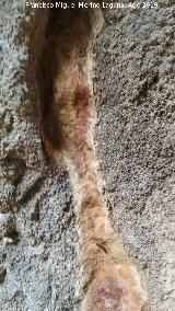 Pinturas rupestres de la Cueva de Río Frío. Pintura en grieta