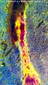 Pinturas rupestres de la Cueva de Río Frío. Tratada con Dstretch