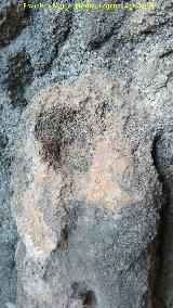 Pinturas rupestres de la Cueva de Río Frío. Cazoleta