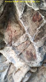 Pinturas rupestres de la Cueva de Río Frío. 