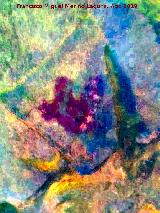Pinturas rupestres de la Cueva de Río Frío. Tratada con Dstretch