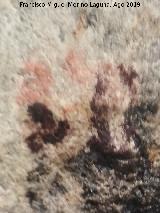 Pinturas rupestres de la Cueva de Río Frío. 
