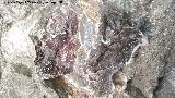 Pinturas rupestres de la Cueva de Río Frío. Antropomorfo y puntos
