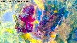 Pinturas rupestres de la Cueva de Río Frío. Tratada con Dstretch