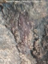 Pinturas rupestres de la Cueva de Río Frío. 