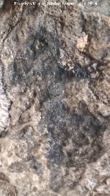 Pinturas rupestres de la Cueva de Río Frío. Antropomorfo negro