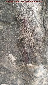 Pinturas rupestres de la Cueva de Río Frío. 