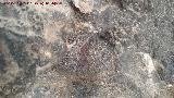 Pinturas rupestres de la Cueva de Río Frío. 