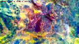 Pinturas rupestres de la Cueva de Río Frío. Tratada con Dstretch