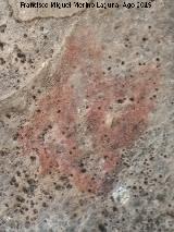 Pinturas rupestres de la Cueva de Río Frío. 