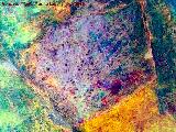 Pinturas rupestres de la Cueva de Río Frío. Tratada con Dstretch