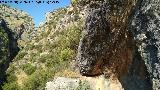 Pinturas rupestres de la Cueva de Río Frío. Cueva
