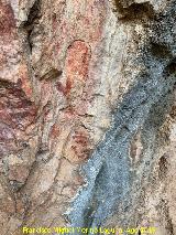 Pinturas rupestres de la Cueva de Río Frío. 