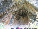 Pinturas rupestres de la Cueva de Río Frío. 