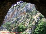 Pinturas rupestres de la Cueva de Río Frío. Vista desde la cueva