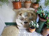 Casa de la Calle Maese Luis n 22. Rosetn