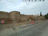 Muralla del Marrubial. 