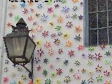 Casa de la Calle Muoz Capilla n 15. Flores