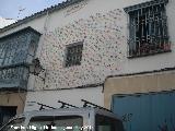 Casa de la Calle Muoz Capilla n 15. Flores