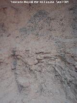 Abrigo Grande de los Cañones. Pintura rupestre falsa