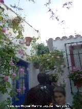 Casas de la Calle Marroquíes nº 6. Casas
