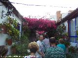 Casas de la Calle Marroquíes nº 6. 