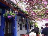 Casas de la Calle Marroquíes nº 6. Casas