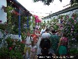 Casas de la Calle Marroquíes nº 6. Calle