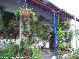 Casas de la Calle Marroquíes nº 6. Casa