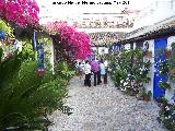 Casas de la Calle Marroquíes nº 6. Calle