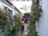 Casas de la Calle Marroquíes nº 6. Calle