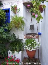 Casas de la Calle Marroquíes nº 6. Pozo