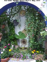 Casa de la Calle Chaparro nº 3. Arco