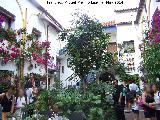 Casa de la Calle Chaparro nº 3. Patio