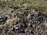 Torre ibero romana de Cerro Alto. Grandes bloques de piedra con cerámica dispersa