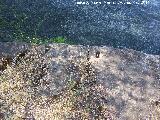 Presa de la Orden. Huecos de grapa de hierro