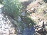 Arroyo de las Cañadas. 
