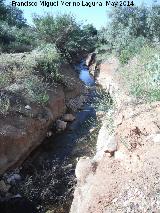 Arroyo de la Alfanjía. 