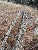 Acequia de la Alfajía II. 
