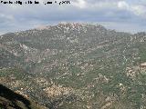 El Marroquí. 