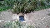 Fuente del Alamillo. 