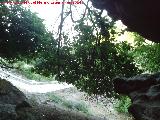 Pen Hueco. Vistas