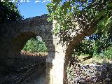 Acueducto del Cañamares. 